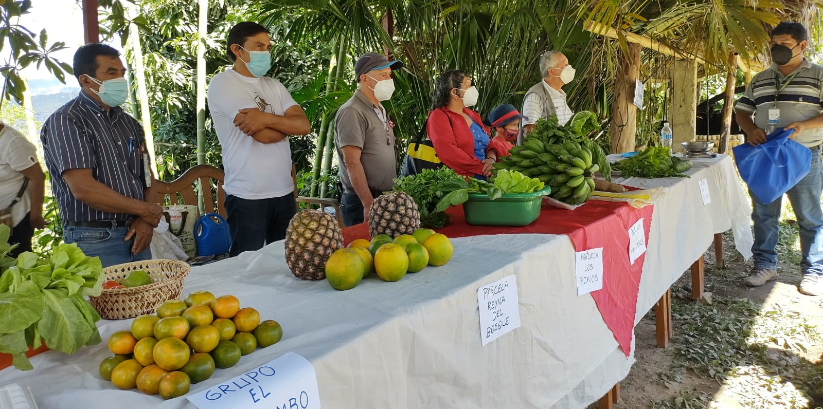 Rutas de Cooperación Al Desarrollo